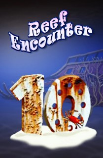 Reef Encounter
