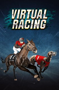 Virtual Racing