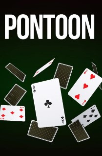 Pontoon 21