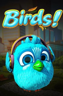 Birds!