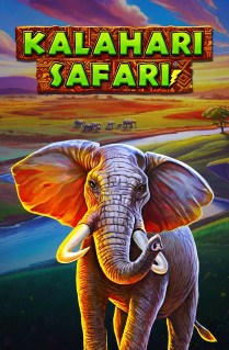 Kalahari Safari