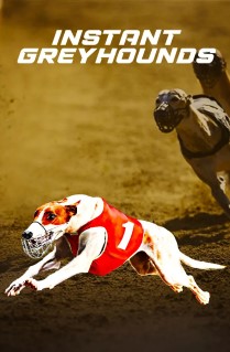 Instant Greyhounds