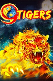 9 Tigers