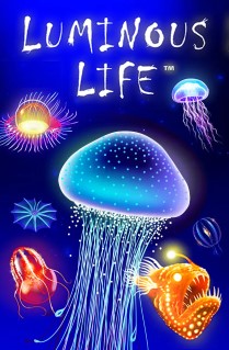 LumiNous Life