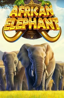 African Elephant