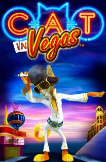 Cat in Vegas