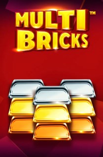 Multi Bricks