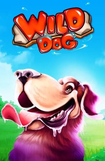 Wild DOG