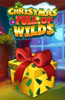 A Christmas Full of Wilds