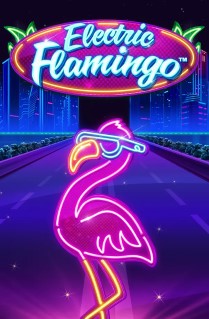 Electric Flamingo